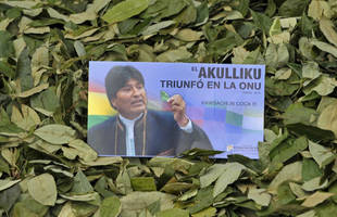 BOLIVIE : LA FEUILLE DE COCA TRIOMPHE A L'ONU