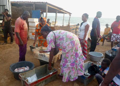 LANCEMENT DE LA PLATEFORME D’ÉCHANGE DES FEMMES DE LA PÊCHE ARTISANALE EN AFRIQUE  