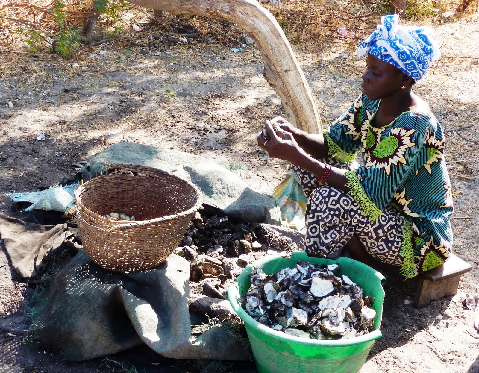 FORMATION DES LEADERS SOCIAUX DE LA PÊCHE ARTISANALE EN AFRIQUE DE L’OUEST