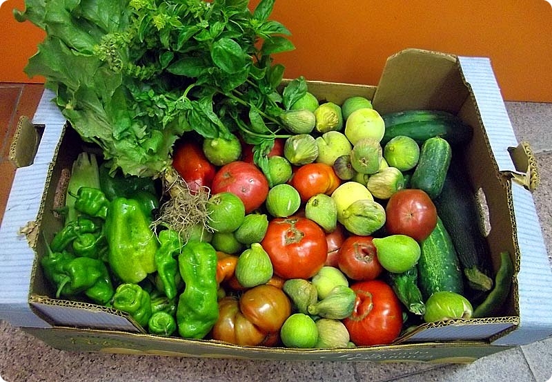 PROYECTO UITC DE FORMACIÓN SOBRE SOBERANÍA ALIMENTARIA EN ESPAÑA