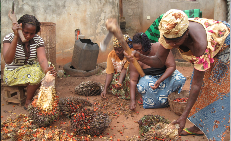 LES FONDEMENTS HOLISTIQUES POUR L'ÉVALUATION ET LA RÉGULATION DU GÉNIE GÉNÉTIQUE ET DES OGM EN AFRIQUE