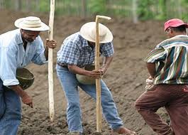 MEXIQUE : NOUVELLE RÉVOLUTION TECHNOLOGIQUE AVEC LE MONDE PAYSAN ET SANS CULTURE TRANSGÉNIQUE 
