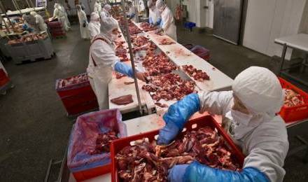 LA CRISE DES LASAGNES AU CHEVAL ET LA TRAÇABILITÉ DES PRODUITS TRANSFORMÉS