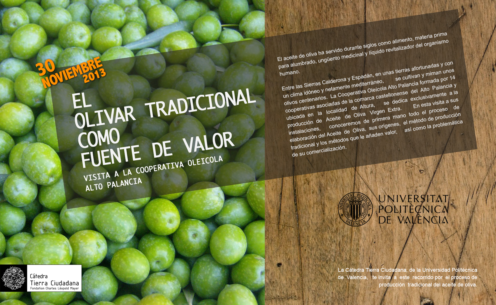 COOPERATIVA OLEÍCOLA