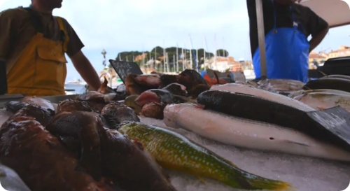PRATIQUES DES PÊCHEURS EN MÉDITERRANÉE