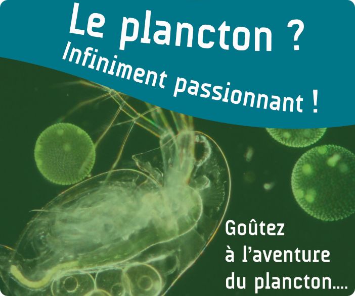 LE PLANCTON C'EST PASSIONNANT !