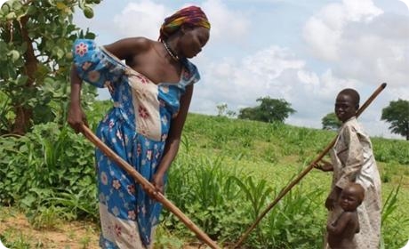 UiTC: PLAN DE FORMATION AU TCHAD