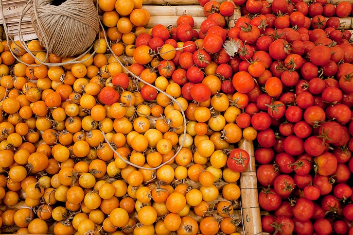 3 JOURS DE BIODIVERSITÉ ALIMENTAIRE