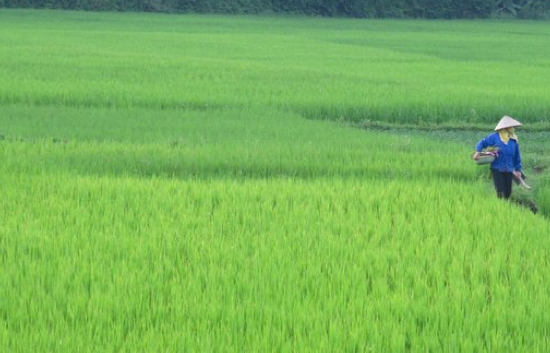 POUR UN VIETNAM DURABLE